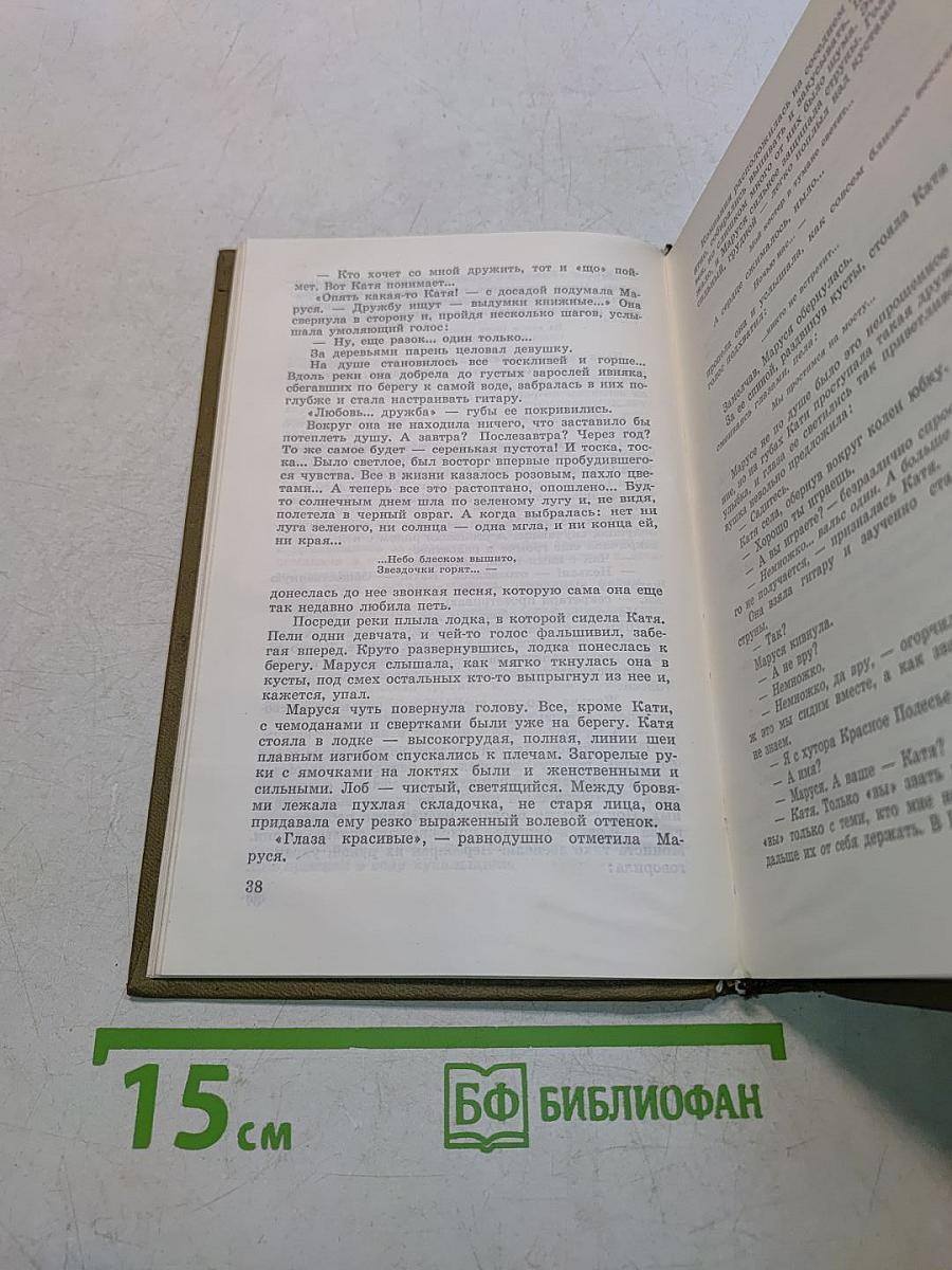 Чайка. Роман. Том четвертый