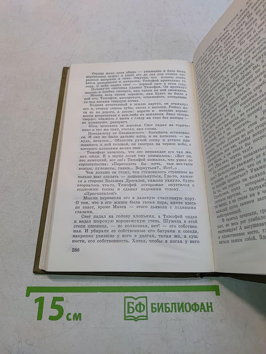 Чайка. Роман. Том четвертый