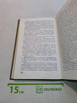 Чайка. Роман. Том четвертый