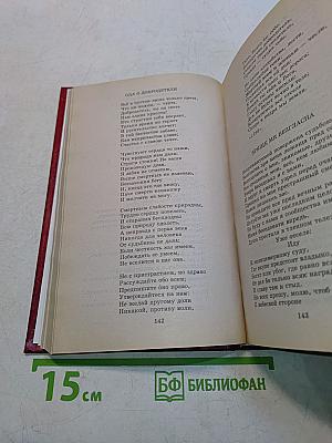 Книга для ученика и учителя. Стихотворения. Письма. Критика и комментарии. Темы и развернутые планы сочинений. Материалы для подготовки к уроку