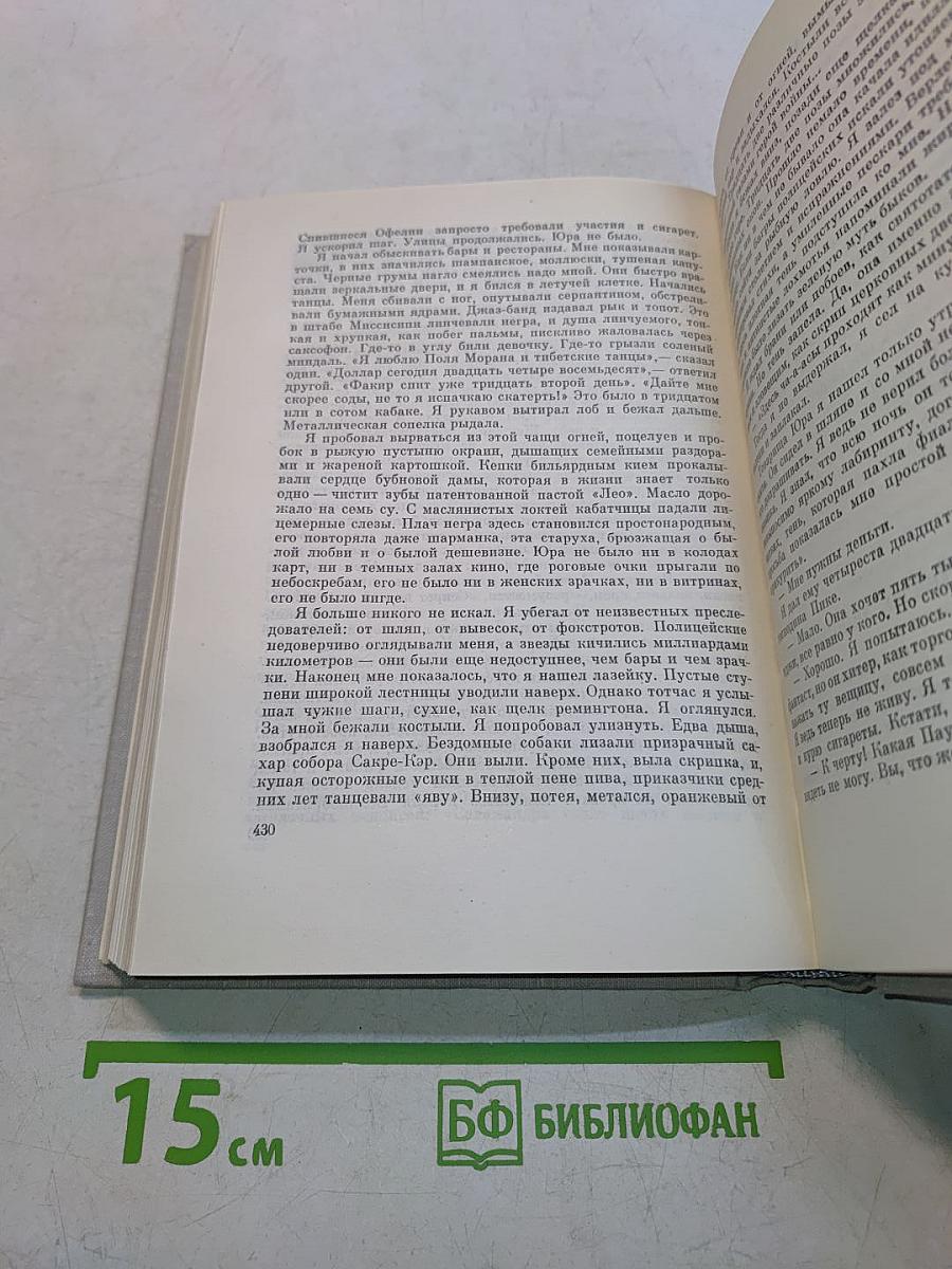 Рвач. Лето 1925 года. В Проточном переулке. Том второй