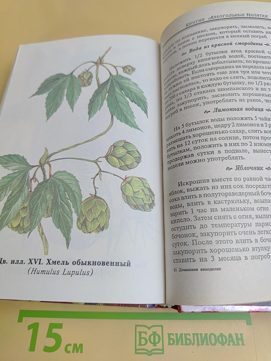Домашнее виноделие