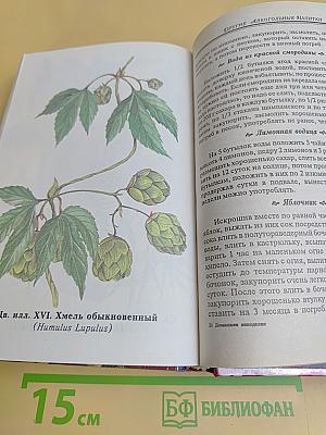 Домашнее виноделие