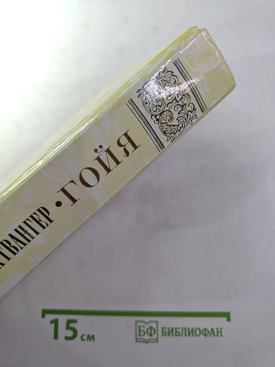 Гойя, или Тяжкий путь познания