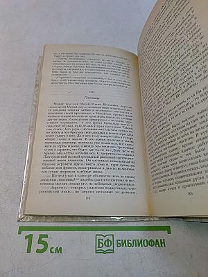 Беглые в Новороссии. Воля. Княжна Тараканова
