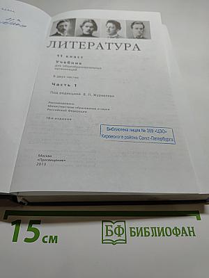 Литература. 11 класс. Часть 1