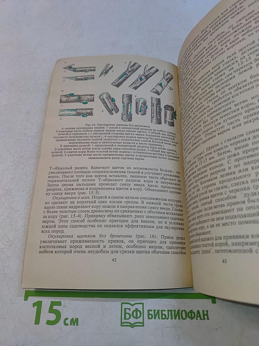 Опыты в школьном саду