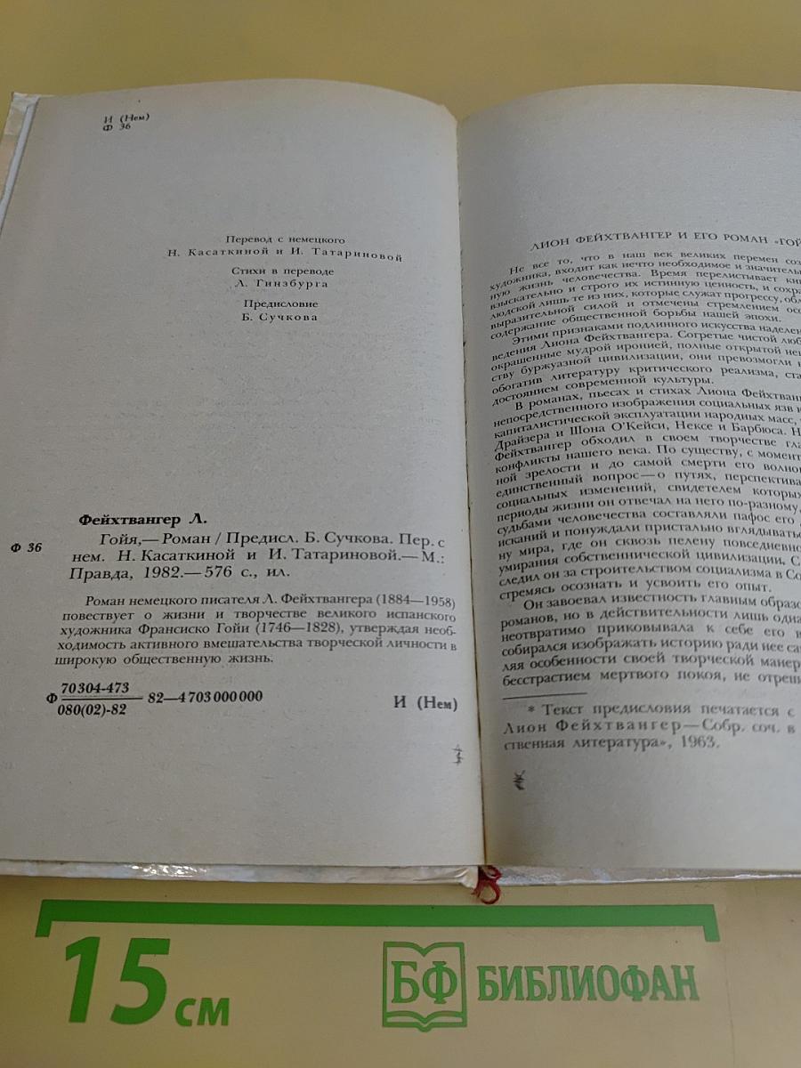 Гойя, или Тяжкий путь познания