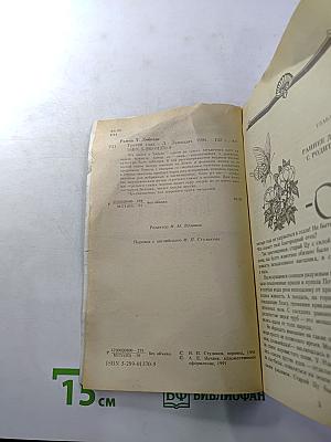 Третий глаз