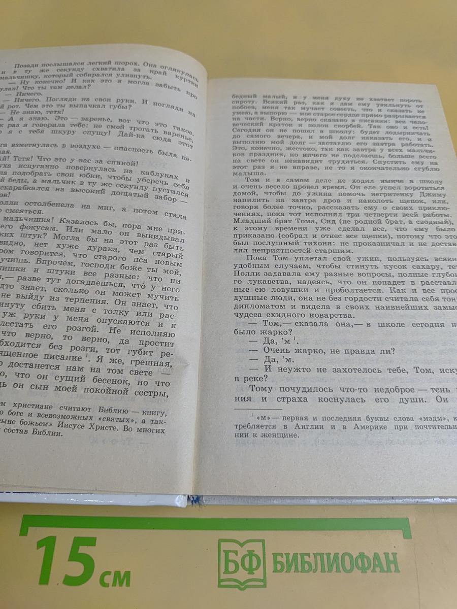 Приключения Тома Сойера и Гекльберри Финна