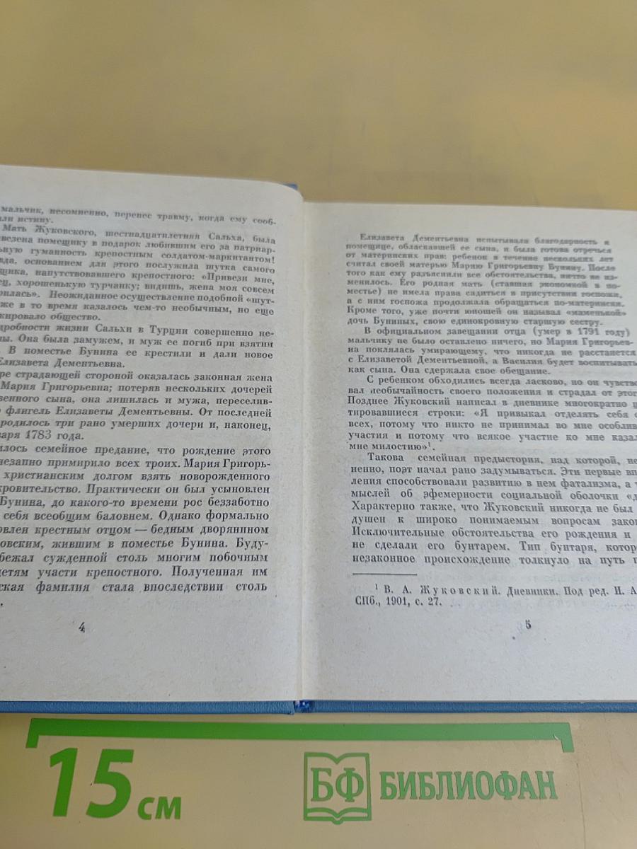 Жизнь и поэзия Жуковского