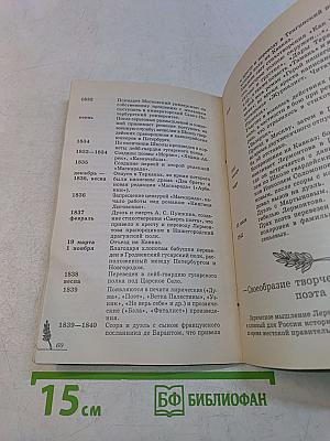 Лермонтов М. Ю. Лирика. Школьная программа. Анализ текста. Основное содержание сочинения. 5-е издание, стереотипное