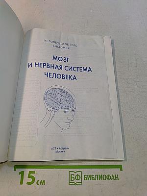Анатомия. Мозг и нервная система человека. Иллюстрированный справочник