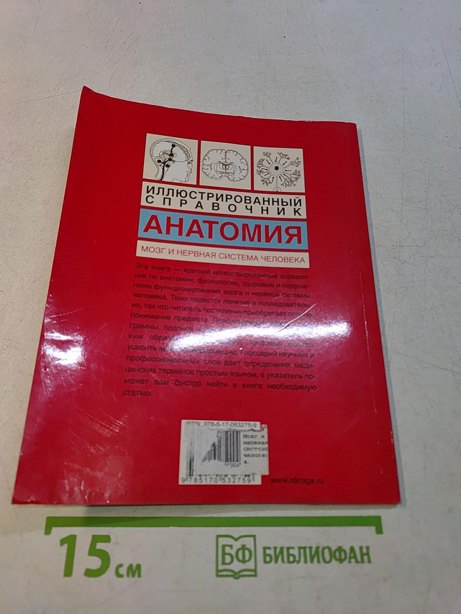 Анатомия. Мозг и нервная система человека. Иллюстрированный справочник