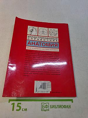 Анатомия. Мозг и нервная система человека. Иллюстрированный справочник