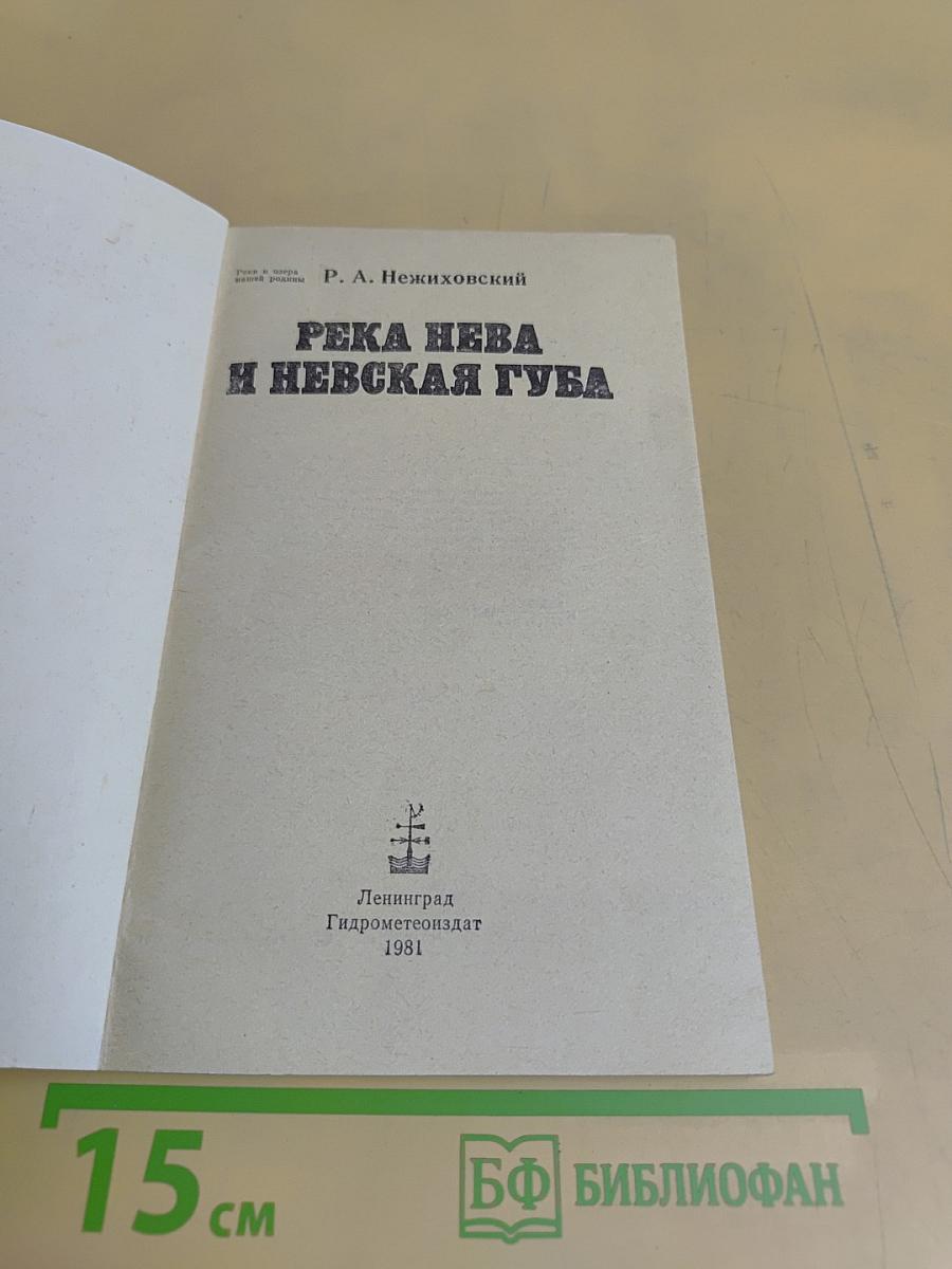 Река Нева и Невская губа