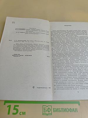 Река Нева и Невская губа