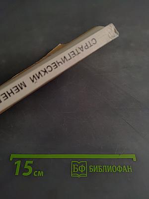 Стратегический менеджмент. Курс лекций