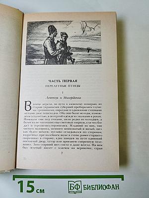 Беглые в Новороссии. Воля. Княжна Тараканова