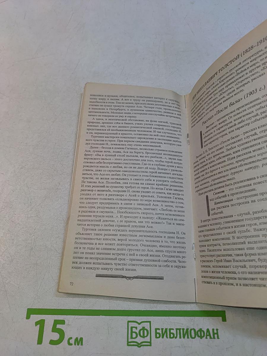 Литература. Сочинения. 8 класс