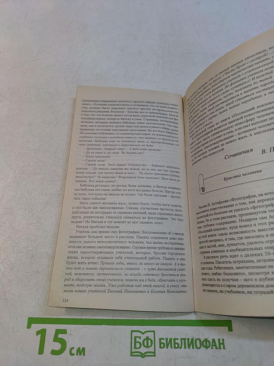Литература. Сочинения. 8 класс