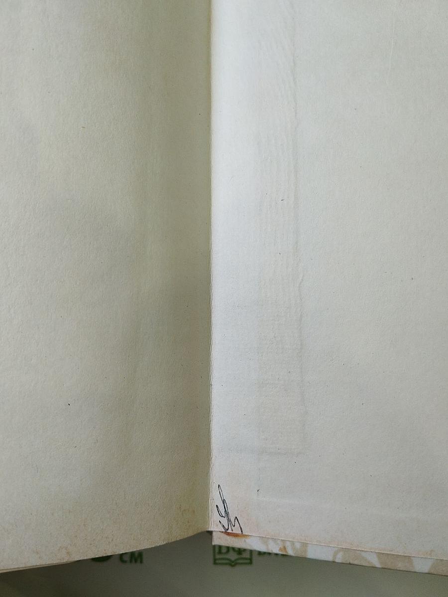 Беглые в Новороссии, Воля, Княжна Тараканова