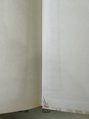 Беглые в Новороссии, Воля, Княжна Тараканова