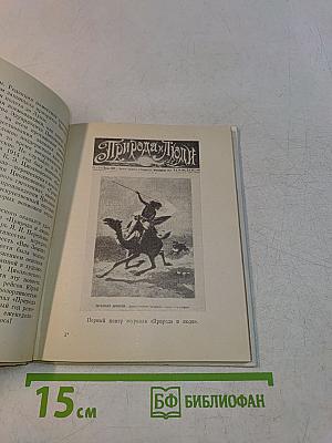 Рыцарь книги