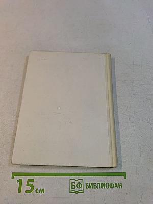 Рыцарь книги