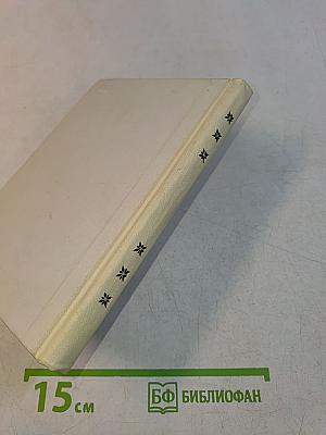Рыцарь книги