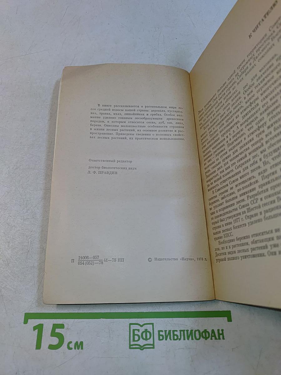 Мир лесных растений