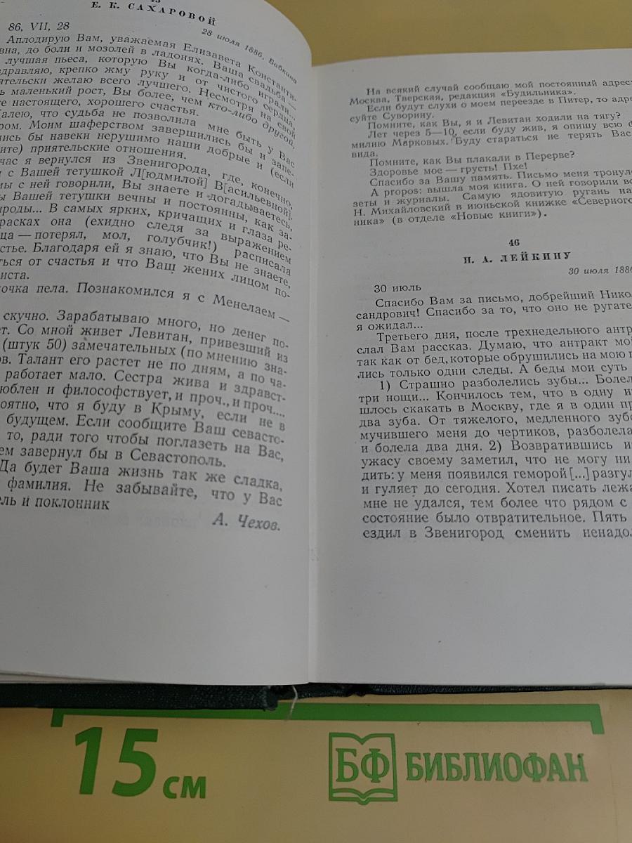 Собрание сочинений. Том одиннадцатый. Письма 1877-1892