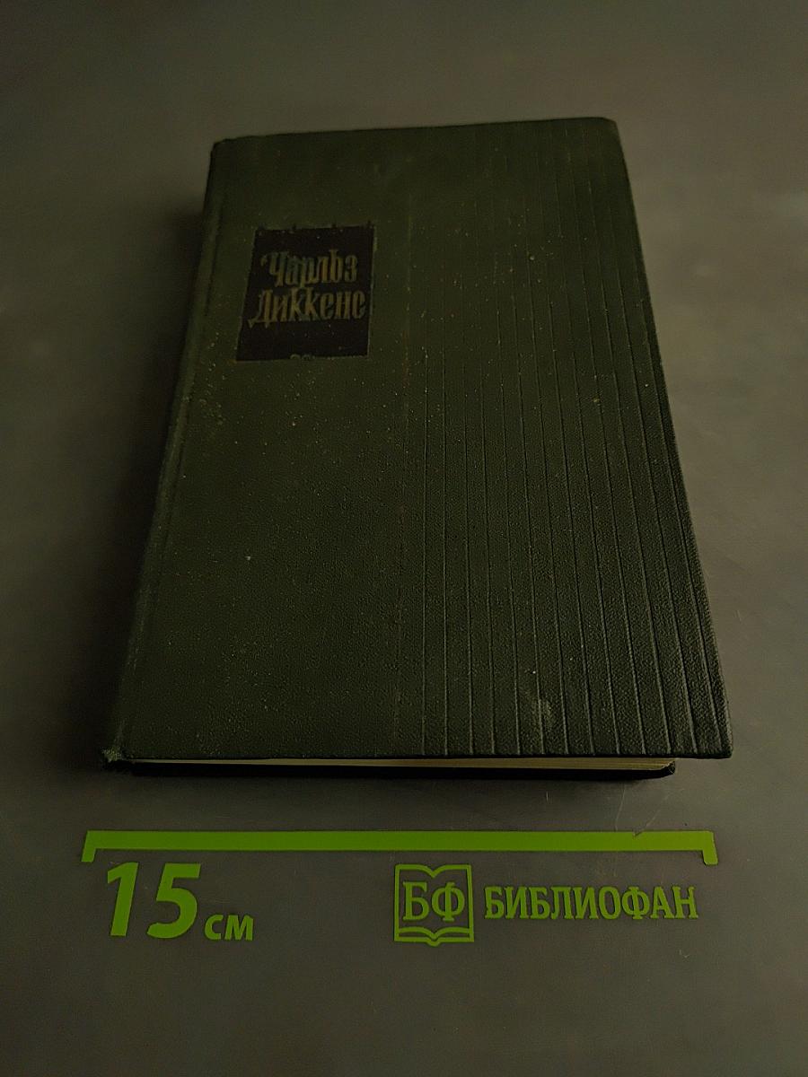 Жизнь и приключения Мартина Чезлвита. Том десятый