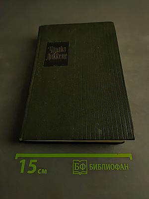 Жизнь и приключения Мартина Чезлвита. Том десятый