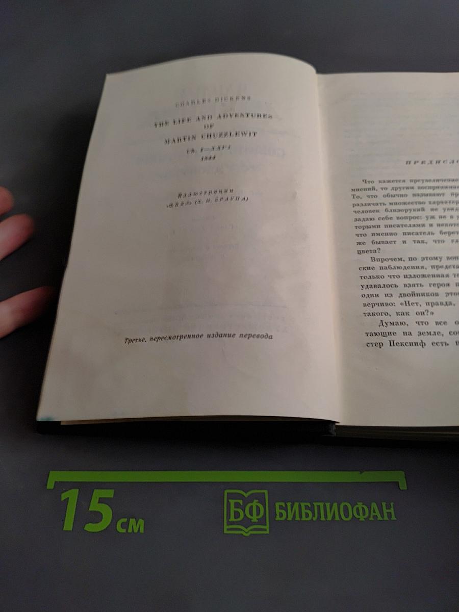 Жизнь и приключения Мартина Чезлвита. Том десятый