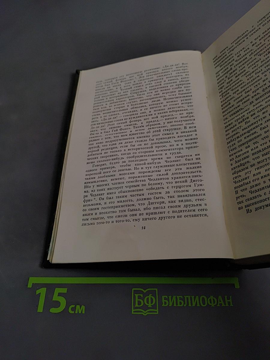 Жизнь и приключения Мартина Чезлвита. Том десятый