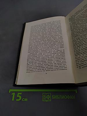 Жизнь и приключения Мартина Чезлвита. Том десятый