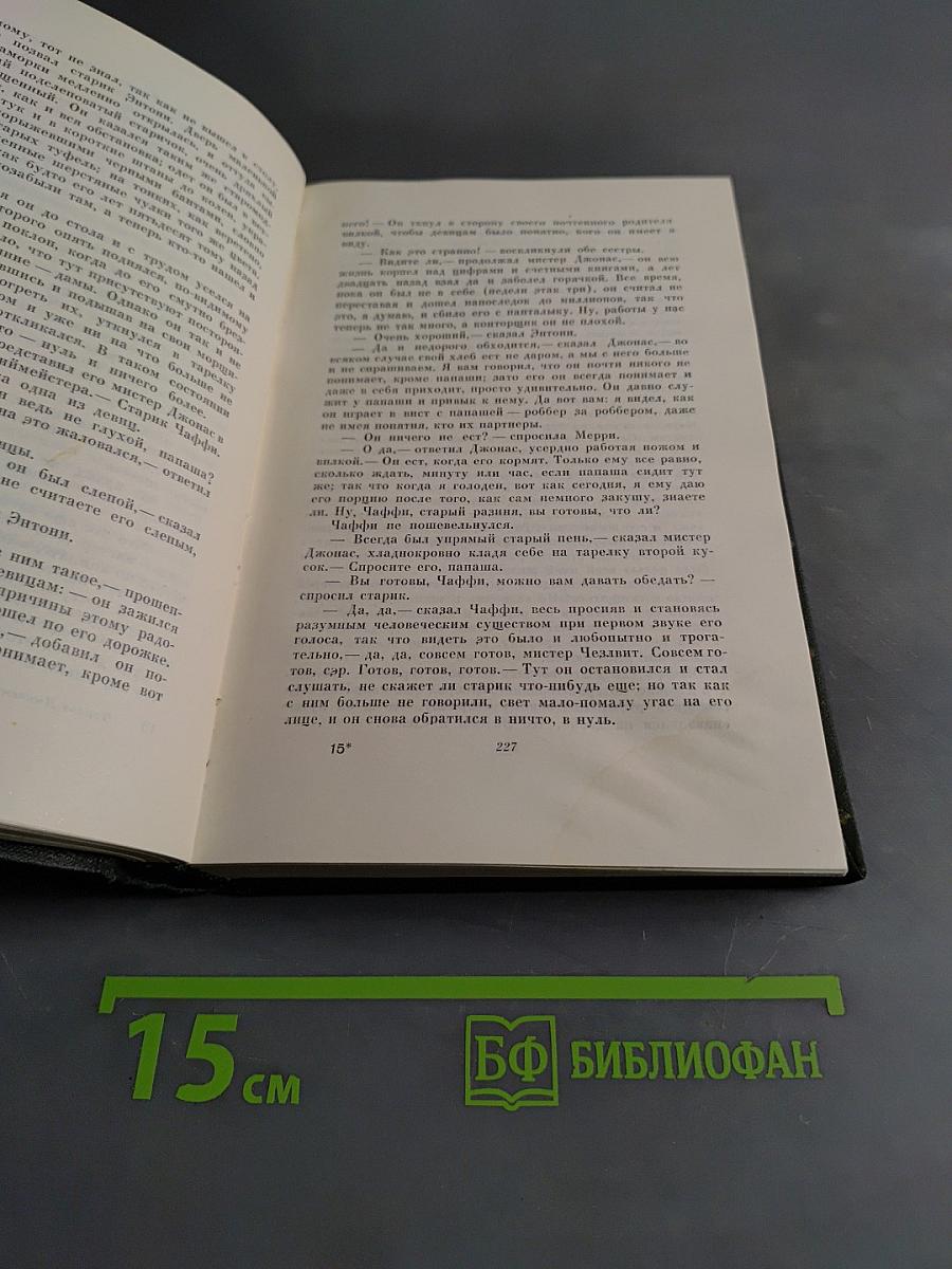 Жизнь и приключения Мартина Чезлвита. Том десятый