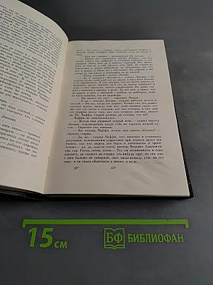 Жизнь и приключения Мартина Чезлвита. Том десятый