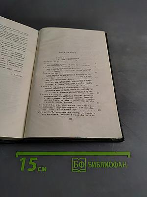 Жизнь и приключения Мартина Чезлвита. Том десятый