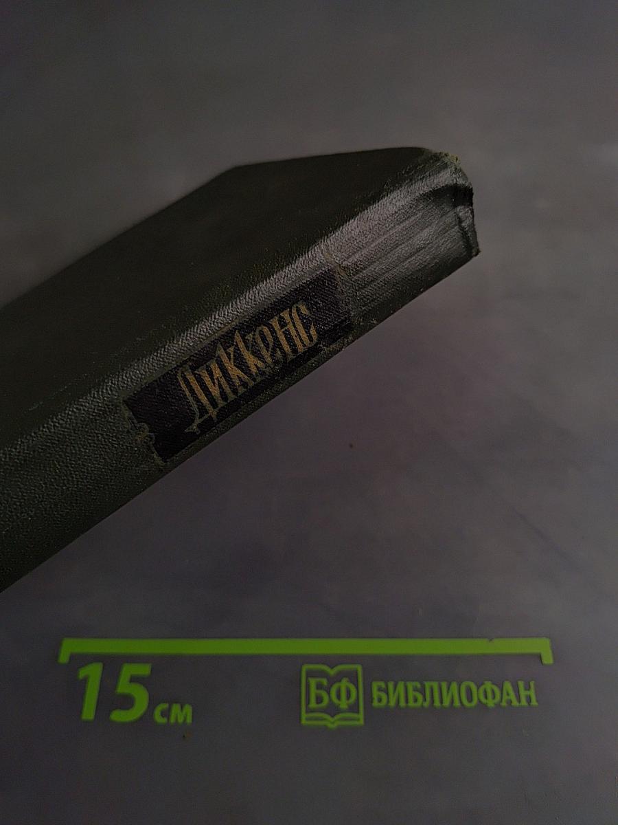 Жизнь и приключения Мартина Чезлвита. Том десятый
