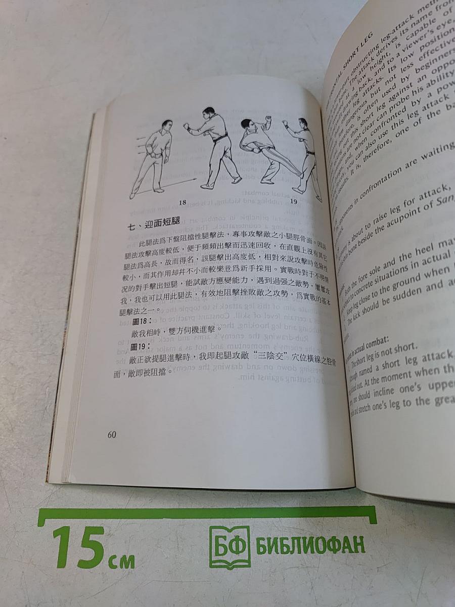 64 Leg-Attack Methods of Shaolin Kungfu
