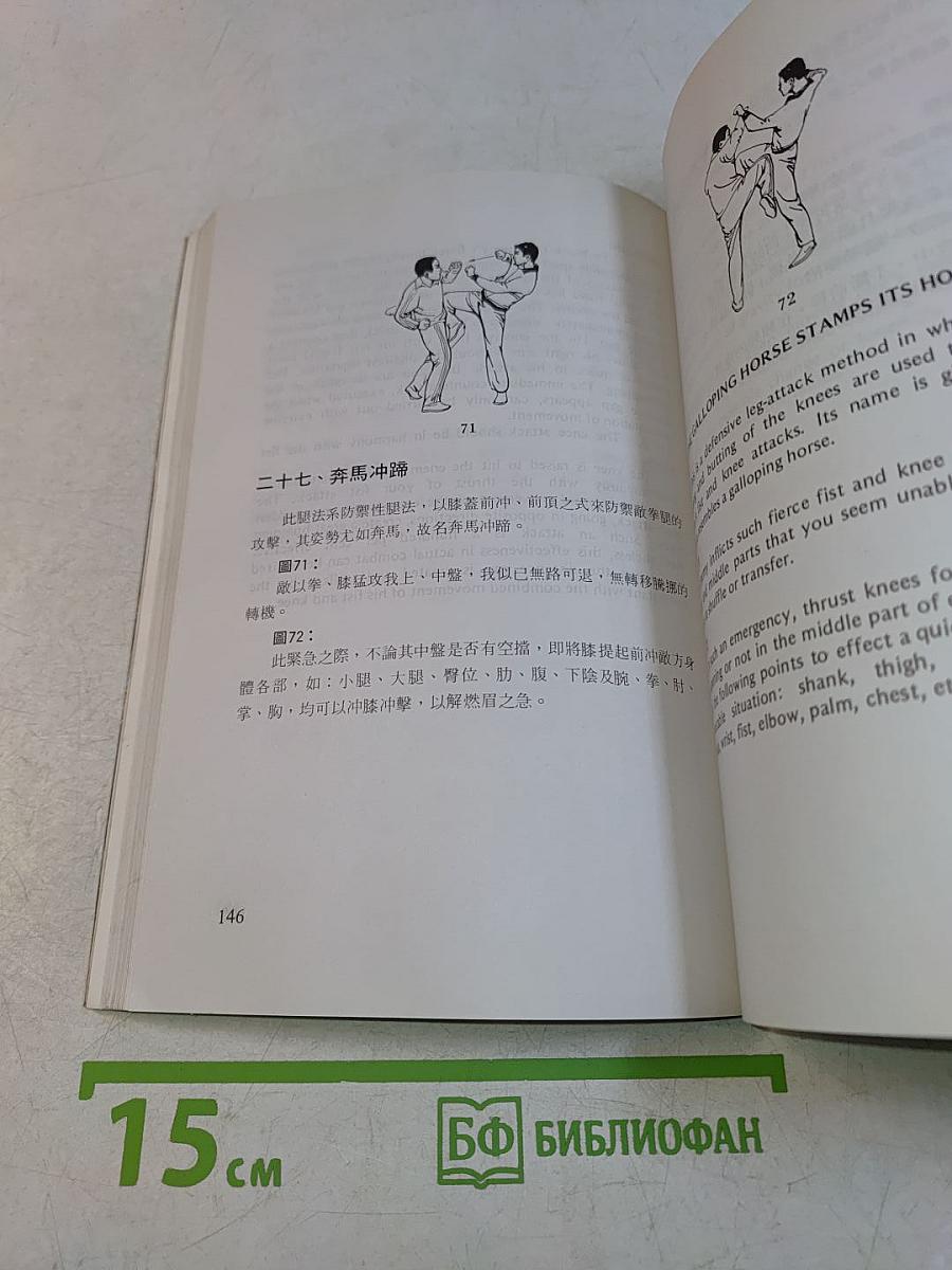 64 Leg-Attack Methods of Shaolin Kungfu