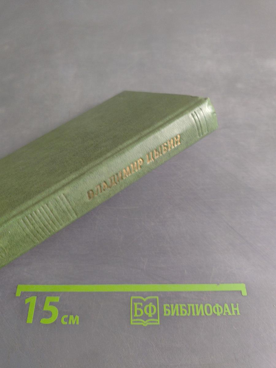 Бессонница сердца. Стихи и поэмы