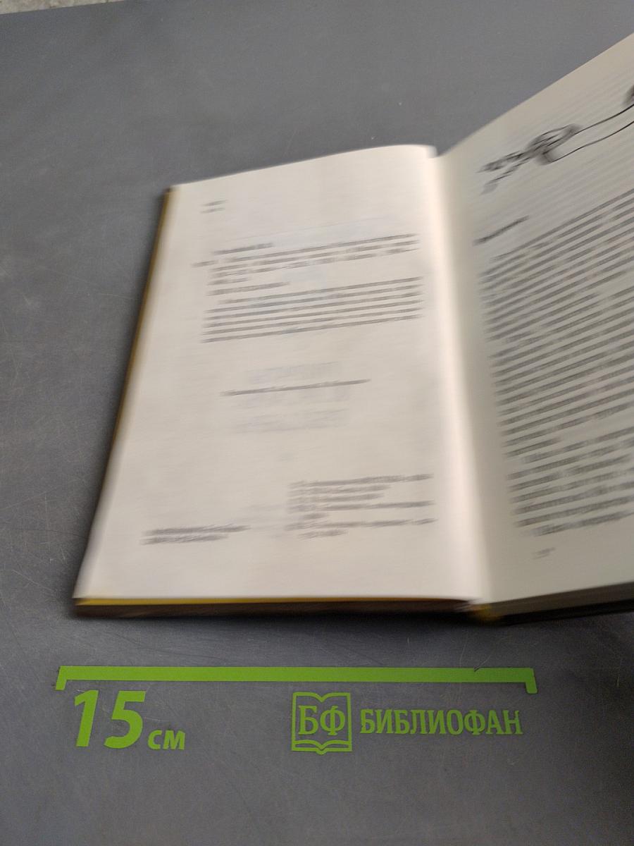 Пираты, корсары, рейдеры