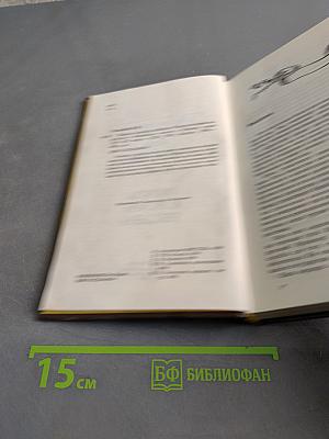 Пираты, корсары, рейдеры