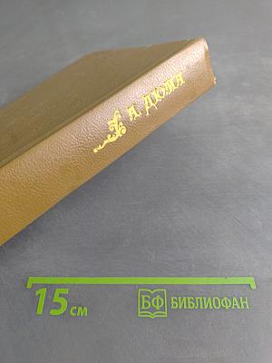 Виконт де Бражелон. Том 2