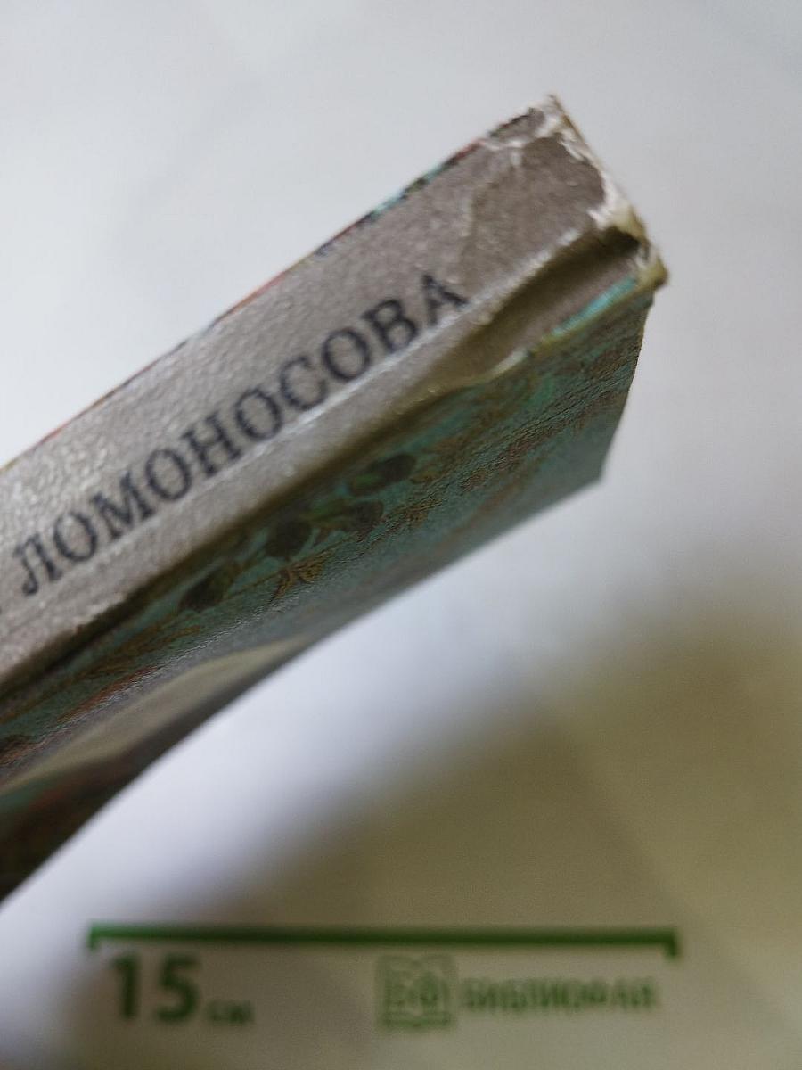 Художественные памятники города Ломоносова