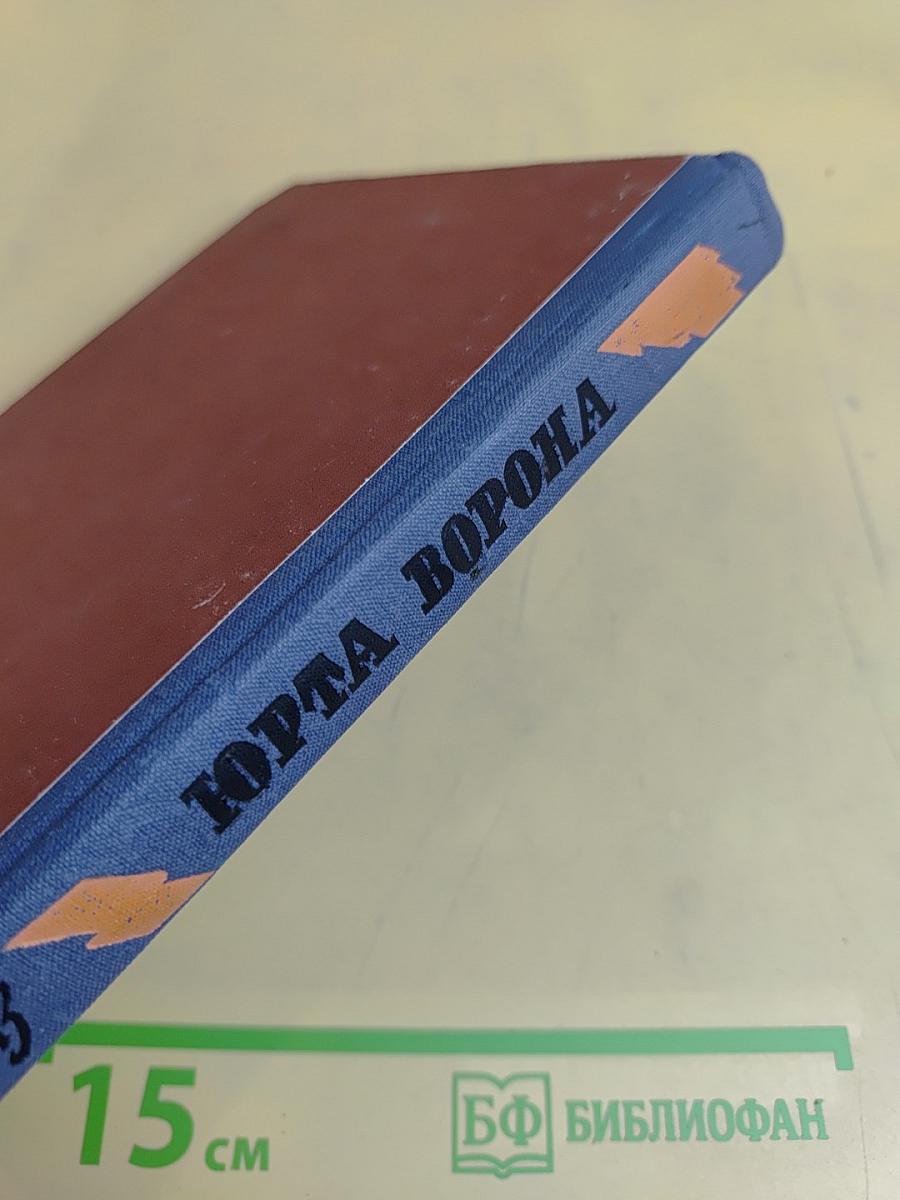 Юрта ворона