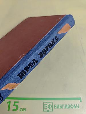 Юрта ворона